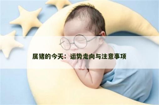 属猪的今天：运势走向与注意事项