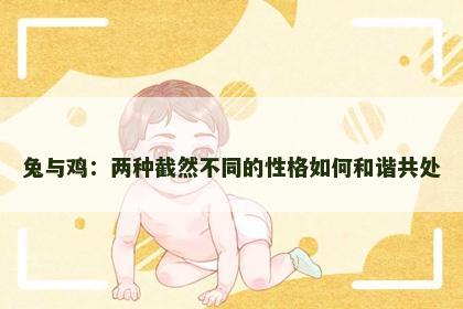 兔与鸡：两种截然不同的性格如何和谐共处
