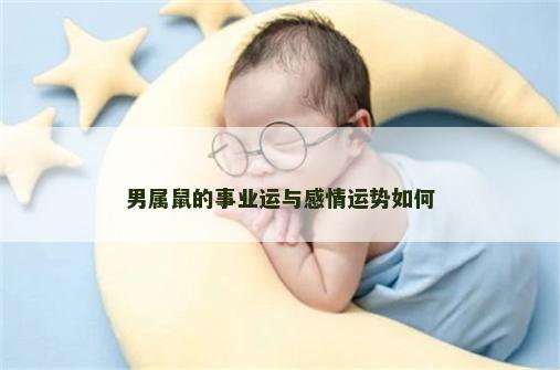 男属鼠的事业运与感情运势如何