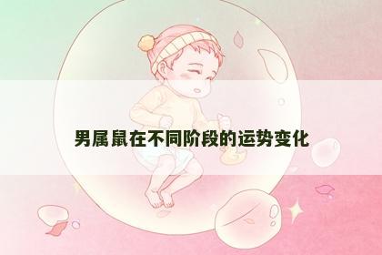 男属鼠在不同阶段的运势变化