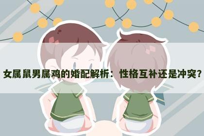 女属鼠男属鸡的婚配解析：性格互补还是冲突？