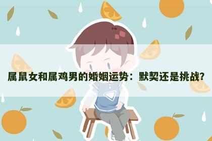 属鼠女和属鸡男的婚姻运势：默契还是挑战？