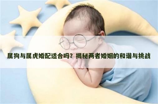属狗与属虎婚配适合吗？揭秘两者婚姻的和谐与挑战