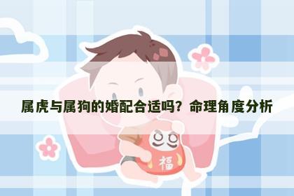 属虎与属狗的婚配合适吗？命理角度分析