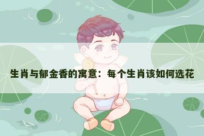 生肖与郁金香的寓意：每个生肖该如何选花