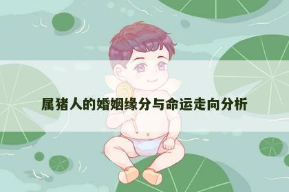 属猪人的婚姻缘分与命运走向分析