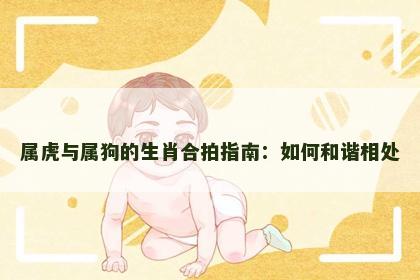 属虎与属狗的生肖合拍指南：如何和谐相处