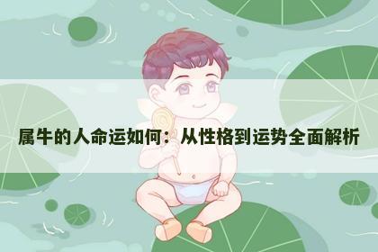 属牛的人命运如何：从性格到运势全面解析
