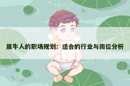 属牛人的职场规划：适合的行业与岗位分析
