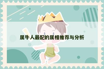 属牛人最配的属相推荐与分析