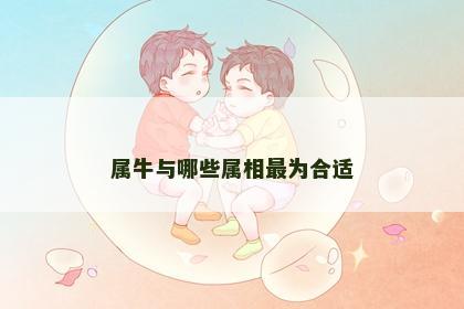属牛与哪些属相最为合适