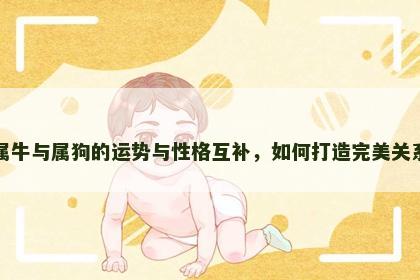 属牛与属狗的运势与性格互补，如何打造完美关系