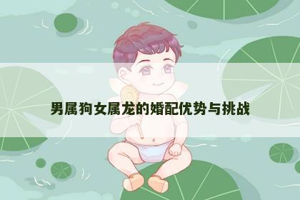 男属狗女属龙的婚配优势与挑战
