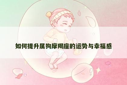 如何提升属狗摩羯座的运势与幸福感