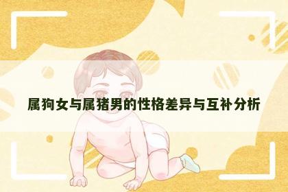 属狗女与属猪男的性格差异与互补分析