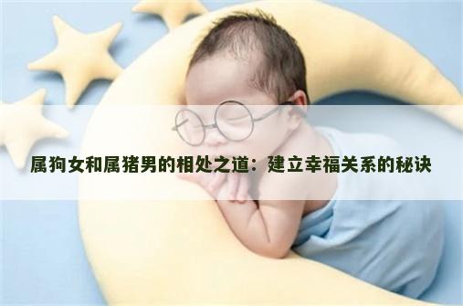 属狗女和属猪男的相处之道：建立幸福关系的秘诀