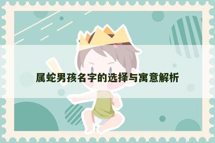 属蛇男孩名字的选择与寓意解析