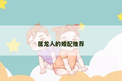 属龙人的婚配推荐