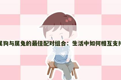 属狗与属兔的最佳配对组合：生活中如何相互支持