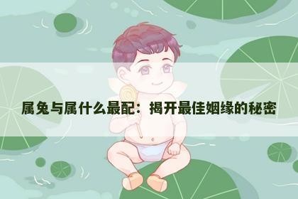 属兔与属什么最配：揭开最佳姻缘的秘密