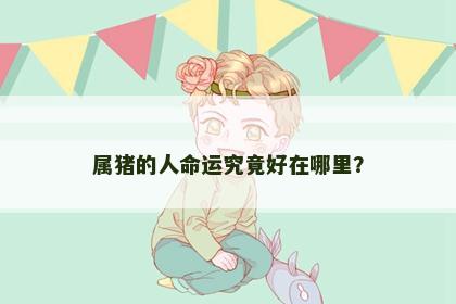 属猪的人命运究竟好在哪里？