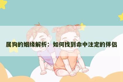 属狗的姻缘解析：如何找到命中注定的伴侣