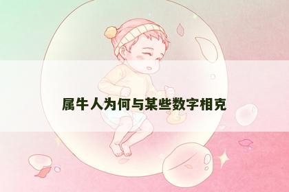属牛人为何与某些数字相克