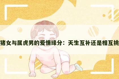 属猪女与属虎男的爱情缘分：天生互补还是相互挑战