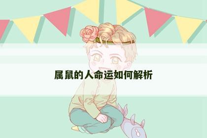 属鼠的人命运如何解析