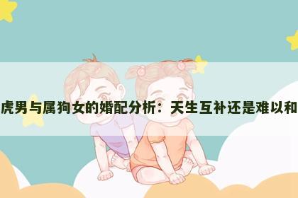 属虎男与属狗女的婚配分析：天生互补还是难以和谐