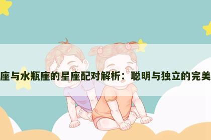 双子座与水瓶座的星座配对解析：聪明与独立的完美碰撞
