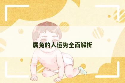 属兔的人运势全面解析