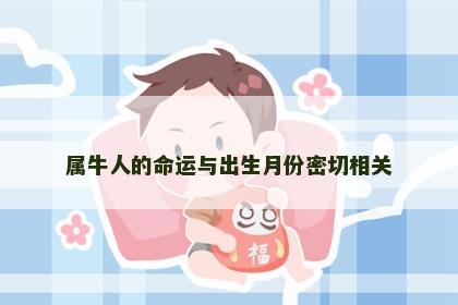 属牛人的命运与出生月份密切相关