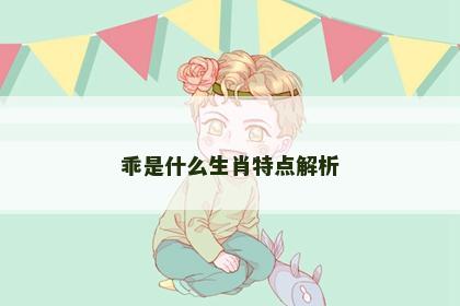 乖是什么生肖特点解析