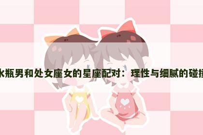水瓶男和处女座女的星座配对：理性与细腻的碰撞