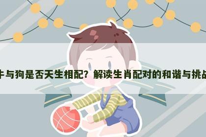 牛与狗是否天生相配？解读生肖配对的和谐与挑战
