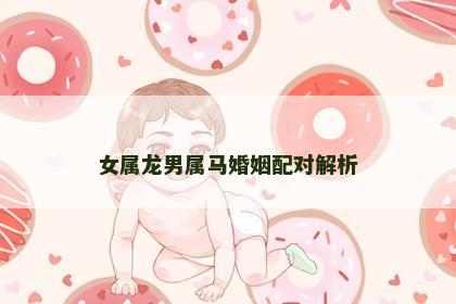 女属龙男属马婚姻配对解析
