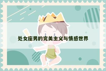 处女座男的完美主义与情感世界