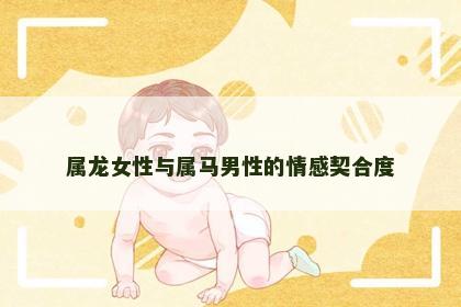属龙女性与属马男性的情感契合度
